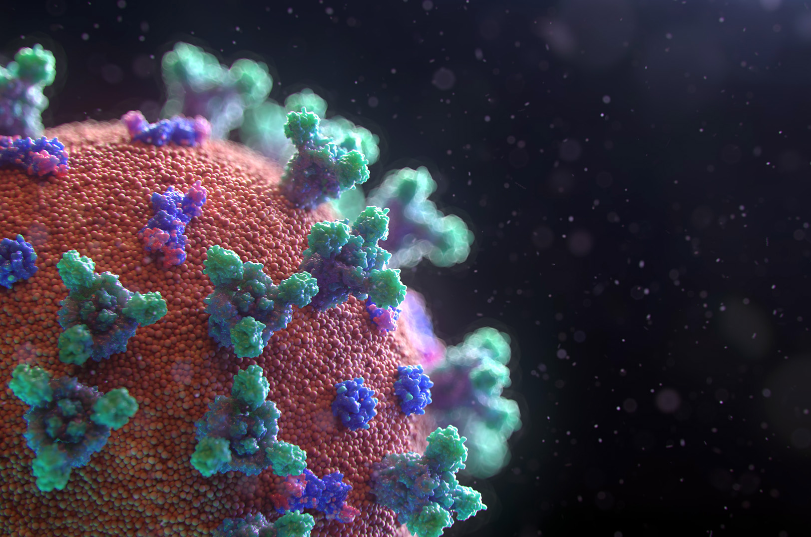 Al treilea val de coronavirus după Crăciun, spune Andrea Crisanti