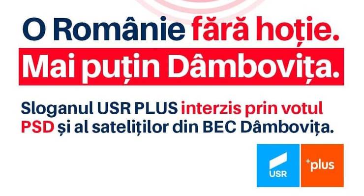 Sloganul „O Românie fără hoție”, interzis de Biroul Electoral Dâmbovița