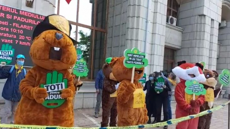 Protestul animalelor a fost organizat în fața Ministerului Mediului.