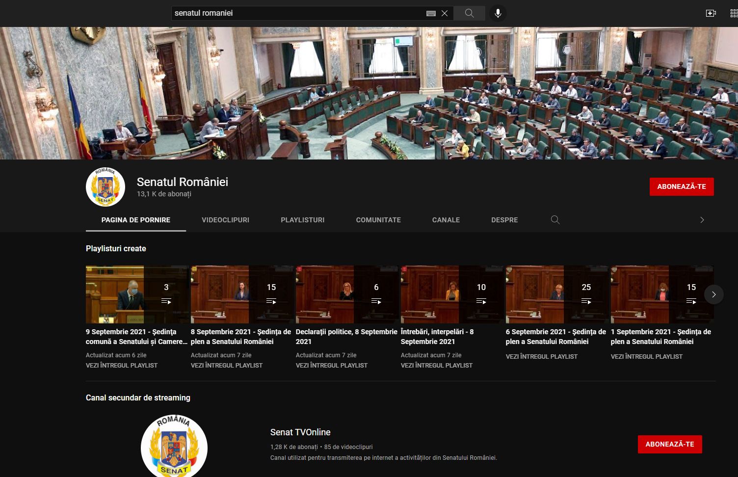 Youtube a suspendat canalul Senatului, din cauza Dianei Șoșoacă