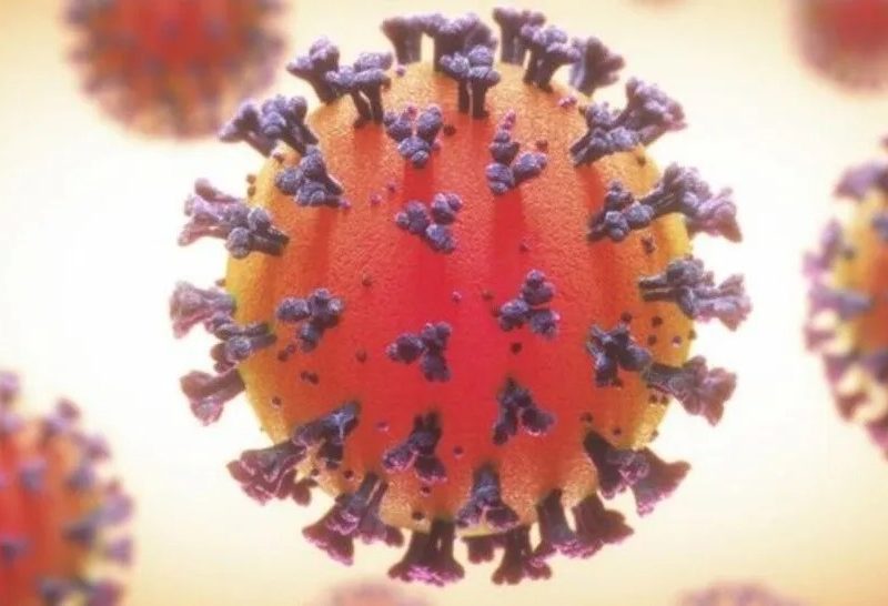Flurona a apărut și în Spania, după combinația între virușii gripei și COVID