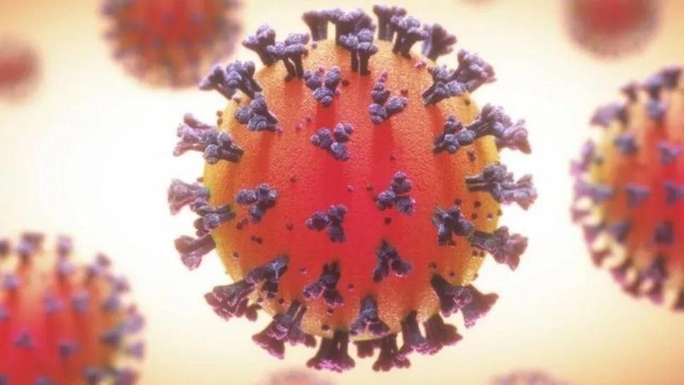 Flurona a apărut și în Spania, după combinația între virușii gripei și COVID