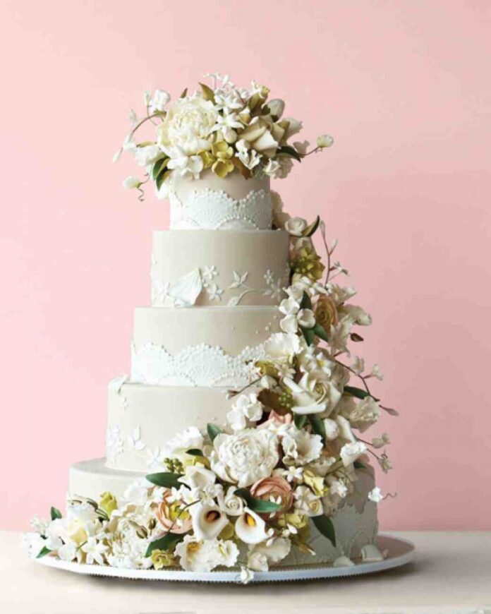 petrecere Cîțu tort