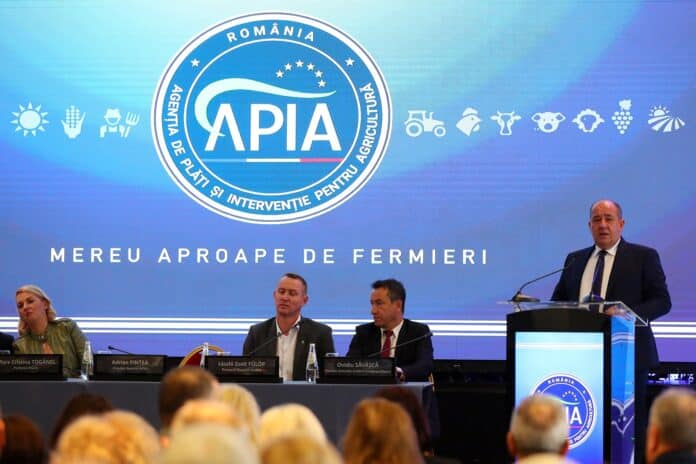 Mariana Turcescu şi Ana Maria Alexandra Delureanu, de la APIA, judecate