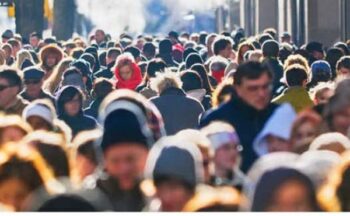 Ce se întâmplă cu cărțile de identitate ale românilor din diaspora, în prag de alegeri. OUG de la Guvern 1 Foto generic