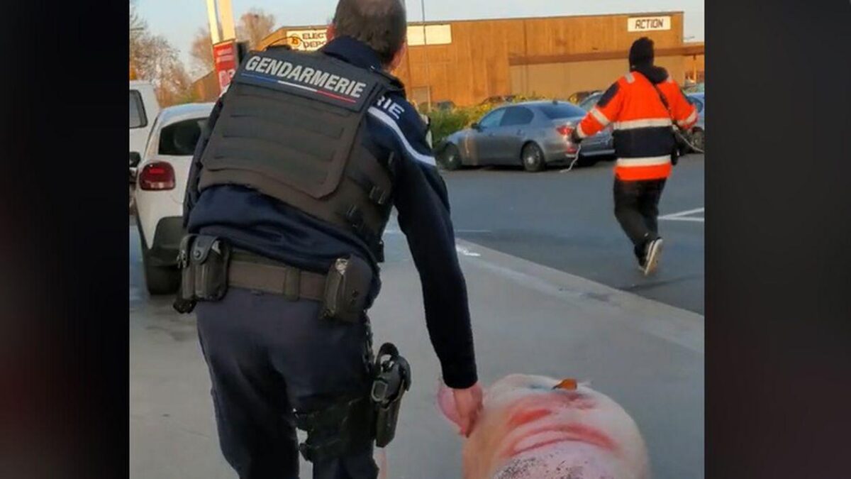 Un porc a fost salvat de la tăiere de jandarmeria franceză și dus la secție