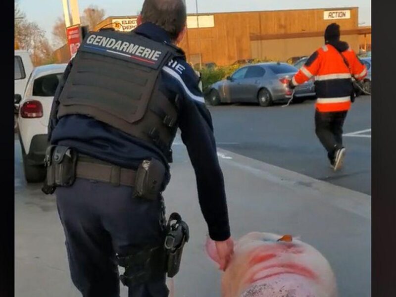Un porc a fost salvat de la tăiere de jandarmeria franceză și dus la secție