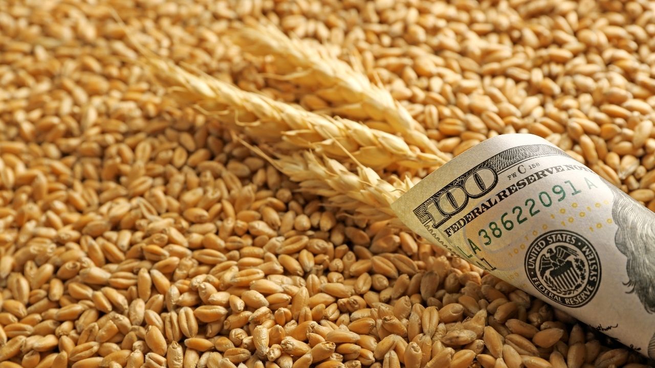 Se ieftinește grâul iar asta ar putea antrena ieftiniri la alimente