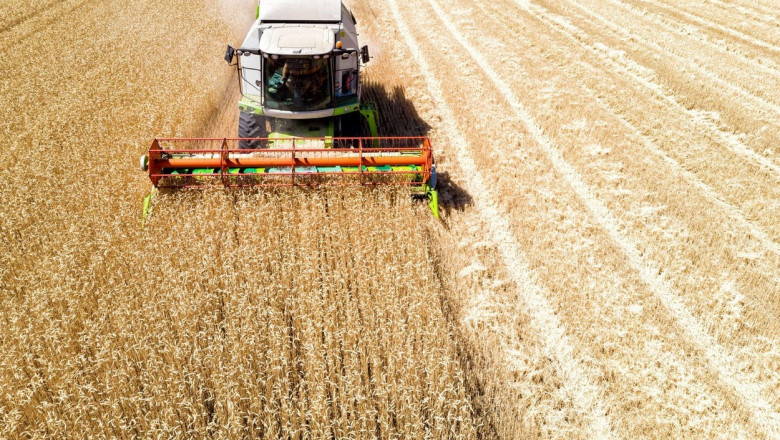 Suspendarea importului de cereale ucrainene în România, cerută de PSD