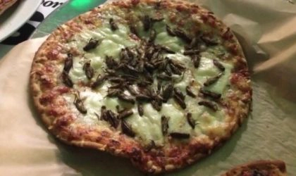 Pizza cu greieri a fost invenția unui antreprenor din Italia