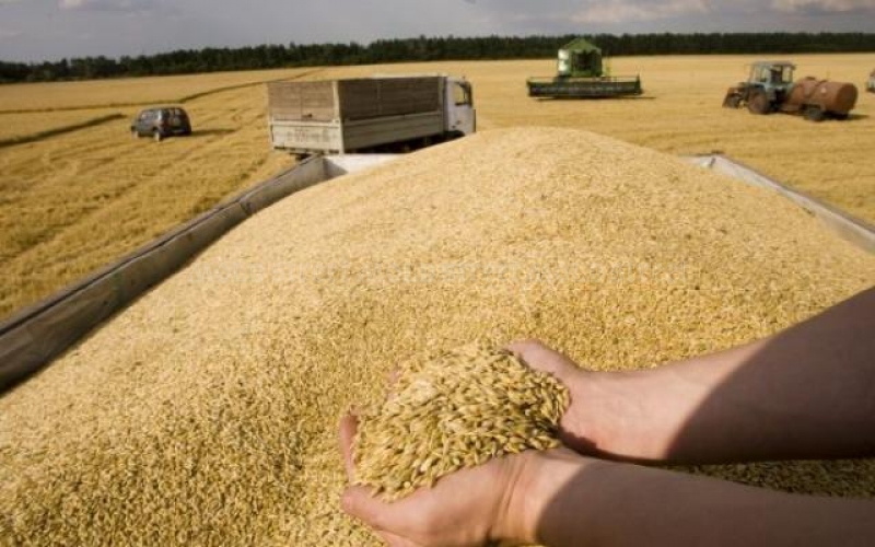 Fermierii români ar avea nevoie de triplul sumei oferite de CE
