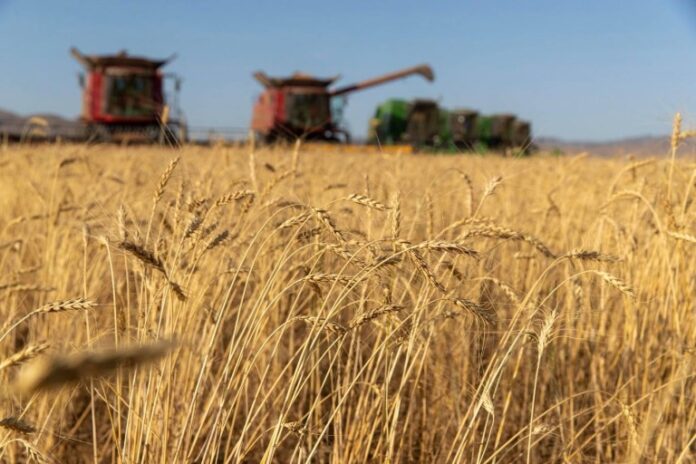 Fermierii români amenință cu blocarea Portului Constanța și a vămilor