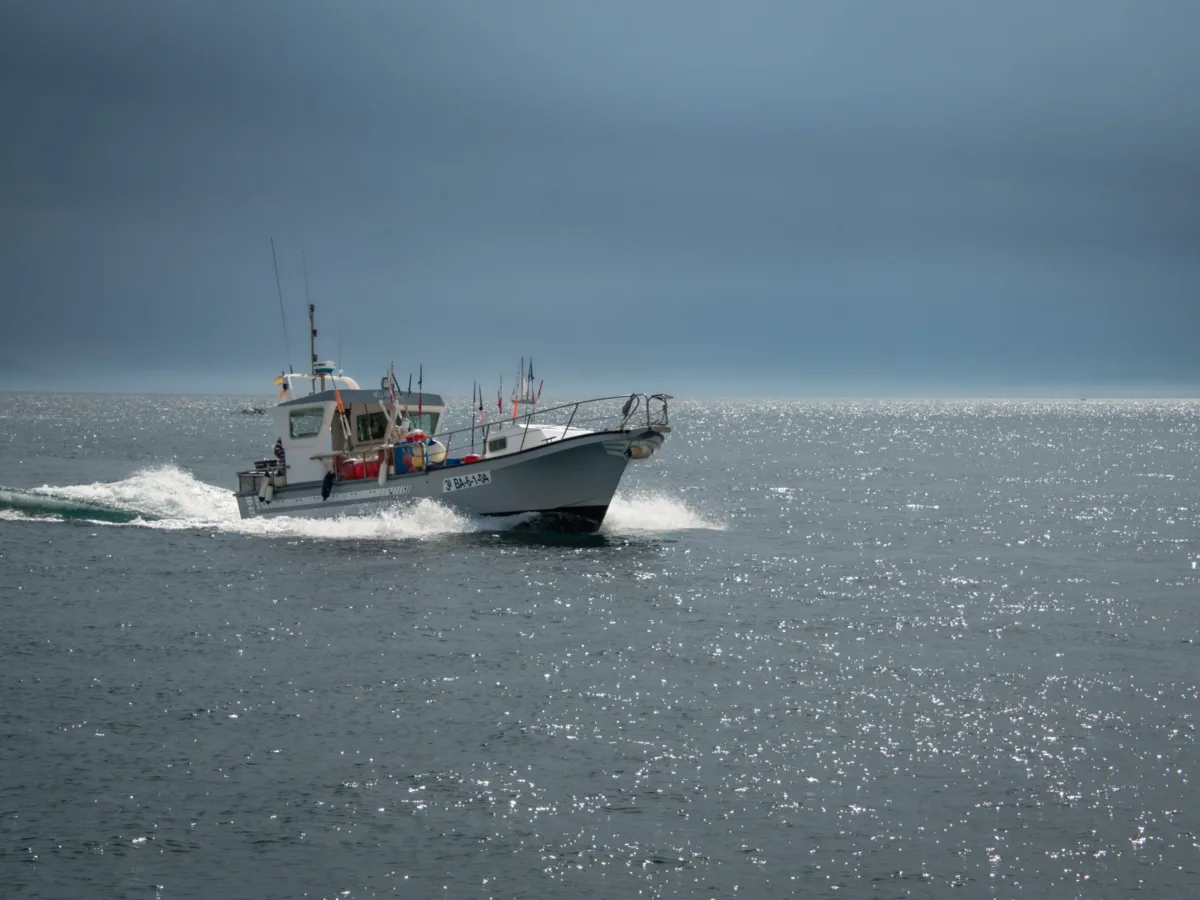 Pescarii nu mai ies pe mare din cauza minelor. Minea: falimentează