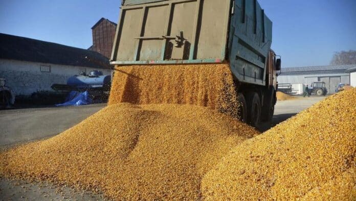 Guvernul României a prelungit cu șase luni tranzitul cerealelor