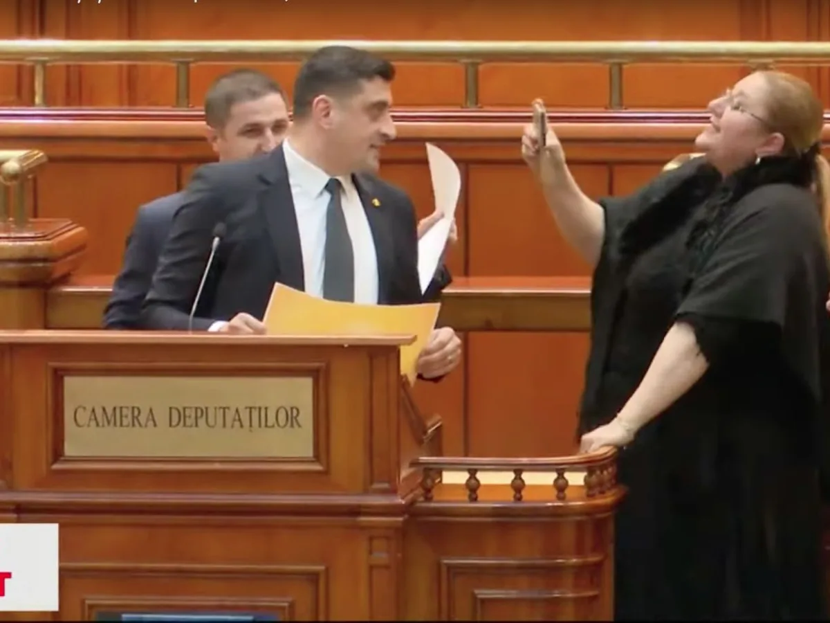 Senatoarea Diana Șoșoacă, plângerea penală împotriva lui Simion