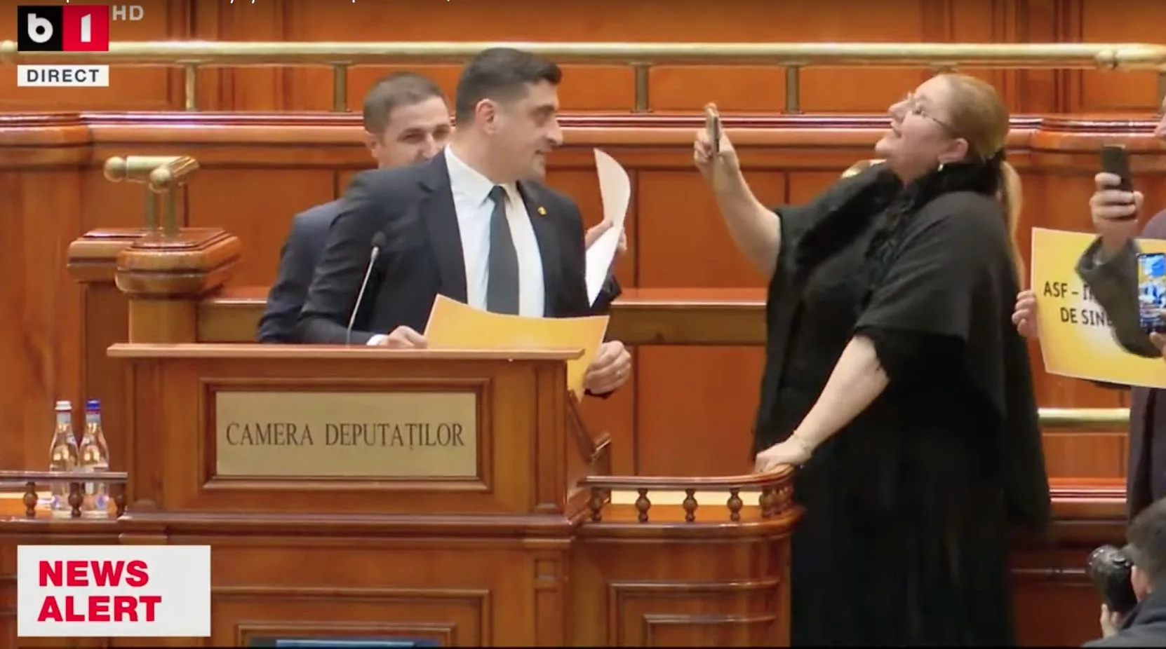 Senatoarea Diana Șoșoacă, plângerea penală împotriva lui Simion