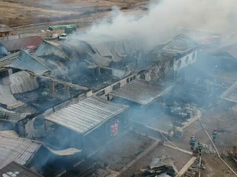 Ferma Dacilor se redeschide, la 7 luni după incendiul devastator: „funcționăm pe grătare, în aer liber”