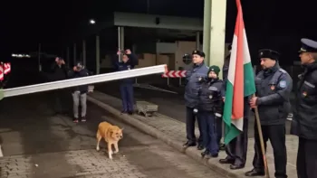 Primul „călător” în Schengen prin Vama Petea: un cățel maidanez, întâmpinat cu aplauze 1 Primul „călător” în Schengen prin Vama Petea: un cățel maidanez, întâmpinat cu aplauze