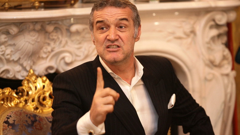 Gigi Becali, deputat AUR