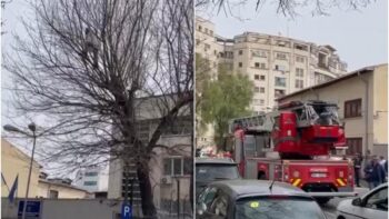 Susținătorii lui Călin Georgescu s-au urcat în copacii de la arestul central. Protest pentru Bogdan Peșchir 1 sustinatorii lui calin georgescu s au urcat in copacii de la arestul central protest pentru bogdan peschir 959675