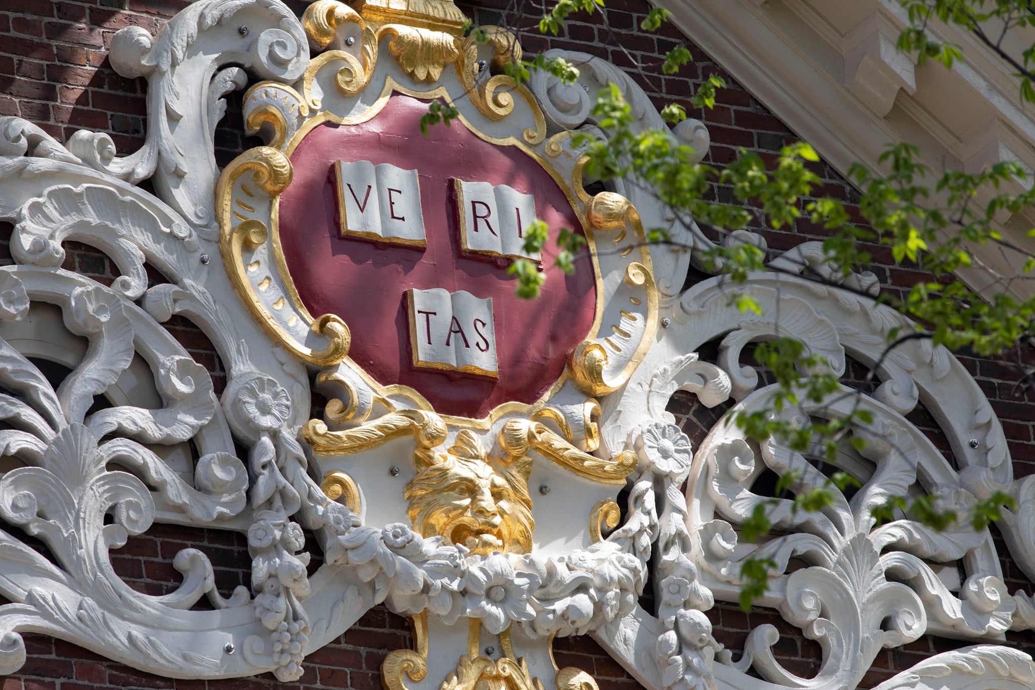 Universitatea Harvard