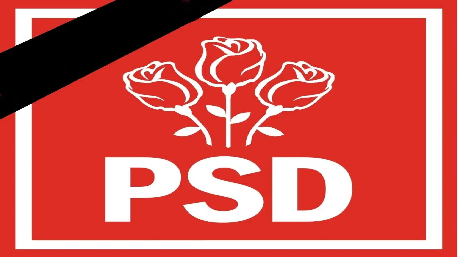 media 168667048128756200