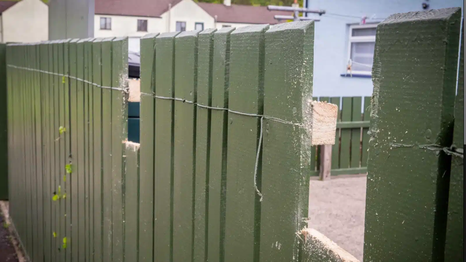 media 171496616949590200